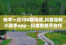 快手一元100攒链接,抖音涨粉小助手app - 抖音粉丝平台代理怎么做 - QQ业务网24小时自助下单-子潇网络