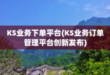 KS业务下单平台(KS业务订单管理平台创新发布)-子潇网络