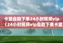 卡盟自助下单24小时视频vip（24小时视频vip自助下单卡盟，让您在线观看视频更高级）-子潇网络