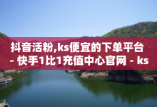 抖音活粉,ks便宜的下单平台 - 快手1比1充值中心官网 - ks业务自助下单软件最低价-子潇网络