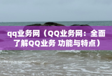 qq业务网（QQ业务网：全面了解QQ业务 功能与特点）-子潇网络