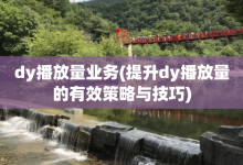 dy播放量业务(提升dy播放量的有效策略与技巧)-子潇网络