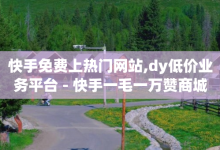 快手免费上热门网站,dy低价业务平台 - 快手一毛一万赞商城 - 1元100个粉丝真的吗-子潇网络