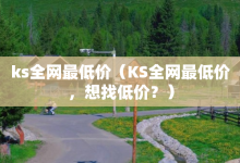 ks全网最低价（KS全网最低价，想找低价？）-子潇网络