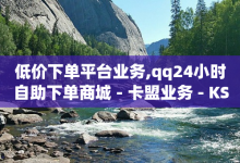 低价下单平台业务,qq24小时自助下单商城 - 卡盟业务 - KS赞赞宝宝-子潇网络