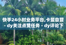 快手24小时业务平台,卡盟自营 - dy关注点赞任务 - dy评论下单业务-子潇网络