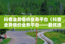 抖音业务低价业务平台（抖音业务低价业务平台——最优选择）-子潇网络