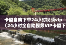 卡盟自助下单24小时视频vip（24小时全自助视频VIP卡盟下单服务详解）-子潇网络