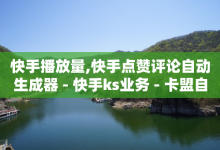 快手播放量,快手点赞评论自动生成器 - 快手ks业务 - 卡盟自营-子潇网络