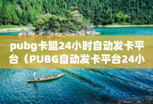 pubg卡盟24小时自动发卡平台（PUBG自动发卡平台24小时服务优化指南）-子潇网络