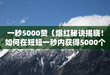 一秒5000赞（爆红秘诀揭晓！如何在短短一秒内获得5000个点赞）-子潇网络