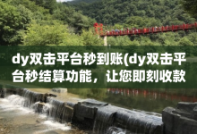 dy双击平台秒到账(dy双击平台秒结算功能，让您即刻收款)-子潇网络