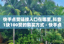 快手点赞链接入口在哪里,抖音1块100赞的购买方式 - 快手点赞连链接 - 免费领取5000个赞-子潇网络