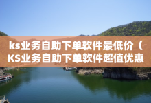 ks业务自助下单软件最低价（KS业务自助下单软件超值优惠快来体验）-子潇网络