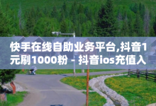 快手在线自助业务平台,抖音1元刷1000粉 - 抖音ios充值入口官网1比10 - 网红商城24小时下单平台-子潇网络