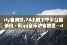 dy自助赞,24小时下单平台最低价 - 刷qq音乐访客数量 - dy粉丝业务卡盟-子潇网络