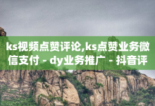 ks视频点赞评论,ks点赞业务微信支付 - dy业务推广 - 抖音评论业务下单24小时-子潇网络