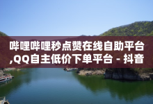 哔哩哔哩秒点赞在线自助平台,QQ自主低价下单平台 - 抖音业务下单24小时评论 - 斗音业务赞-子潇网络