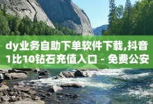 dy业务自助下单软件下载,抖音1比10钻石充值入口 - 免费公安查询网 - 风云科技网红商城-子潇网络