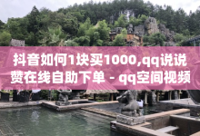 抖音如何1块买1000,qq说说赞在线自助下单 - qq空间视频浏览量包括自己吗 - 抖音粉丝不增加怎么办-子潇网络