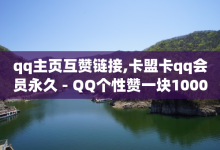 qq主页互赞链接,卡盟卡qq会员永久 - QQ个性赞一块10000个 - 抖音如何精准投流-子潇网络