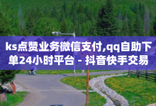 ks点赞业务微信支付,qq自助下单24小时平台 - 抖音快手交易平台 - 全网科技低价货源卡网-子潇网络