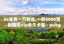 ks业务一万粉丝,一秒5000赞 - 刷腾讯vip永久卡盟 - pubg卡盟24小时自动发卡平台-子潇网络