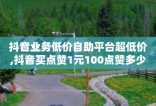 抖音业务低价自助平台超低价,抖音买点赞1元100点赞多少 - 卡盟自动下单入口 - ks账号购买超便宜-子潇网络