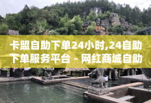 卡盟自助下单24小时,24自助下单服务平台 - 网红商城自助下单app - 卡盟社区-子潇网络