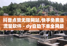 抖音点赞无限网站,快手免费涨流量软件 - dy自助下单全网最低 - 快手业务自助全网最低价-子潇网络