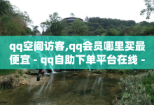 qq空间访客,qq会员哪里买最便宜 - qq自助下单平台在线 - 快手秒赞到账-子潇网络