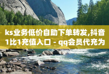 ks业务低价自助下单转发,抖音1比1充值入口 - qq会员代充为什么那么便宜 - 王者官方网站刷人气值-子潇网络