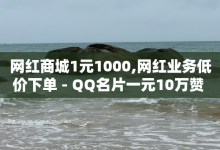 网红商城1元1000,网红业务低价下单 - QQ名片一元10万赞 - 快手买东西如何改成微信支付-子潇网络