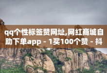 qq个性标签赞网址,网红商城自助下单app - 1买100个赞 - 抖音千粉号-子潇网络