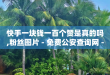 快手一块钱一百个赞是真的吗,粉丝图片 - 免费公安查询网 - 抖音点赞自助上热门-子潇网络