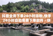 抖音业务下单24小时涨粉,快手24小时自助免费下单软件 - 快手1快点赞 - 快手涨热度软件免费下载-子潇网络