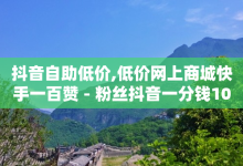 抖音自助低价,低价网上商城快手一百赞 - 粉丝抖音一分钱1000粉 - 0.5自助下单-子潇网络