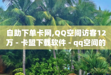 自助下单卡网,QQ空间访客12万 - 卡盟下载软件 - qq空间的浏览量-子潇网络