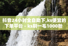 抖音24小时全自助下,ks便宜的下单平台 - ks刷一毛1000粉 - 抖音快速涨1000个-子潇网络