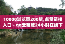 10000浏览量200赞,点赞链接入口 - qq云商城24小时在线下单免费 - qq空间自助平台-子潇网络