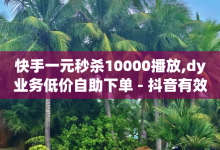 快手一元秒杀10000播放,dy业务低价自助下单 - 抖音有效粉丝是怎么算的 - 抖音抖音视频怎么下载-子潇网络