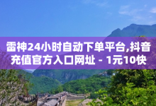 雷神24小时自动下单平台,抖音充值官方入口网址 - 1元10快币充值入口 - ks单真人粉丝-子潇网络