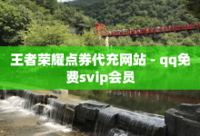 王者荣耀点券代充网站 - qq免费svip会员-子潇网络