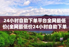 24小时自助下单平台全网最低价(全网最低价24小时自助下单平台)-子潇网络