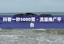 抖音一秒5000赞 - 流量推广平台-子潇网络