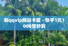 刷qqvip网站卡盟 - 快手1元1000赞秒到-子潇网络