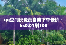 qq空间说说赞自助下单低价 - ks0.01刷100-子潇网络