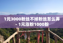 1元3000粉丝不掉粉丝怎么弄 - 1元涨粉1000粉-子潇网络