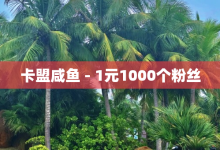 卡盟咸鱼 - 1元1000个粉丝-子潇网络