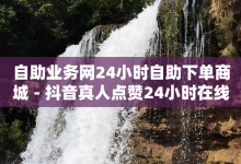 自助业务网24小时自助下单商城 - 抖音真人点赞24小时在线-子潇网络